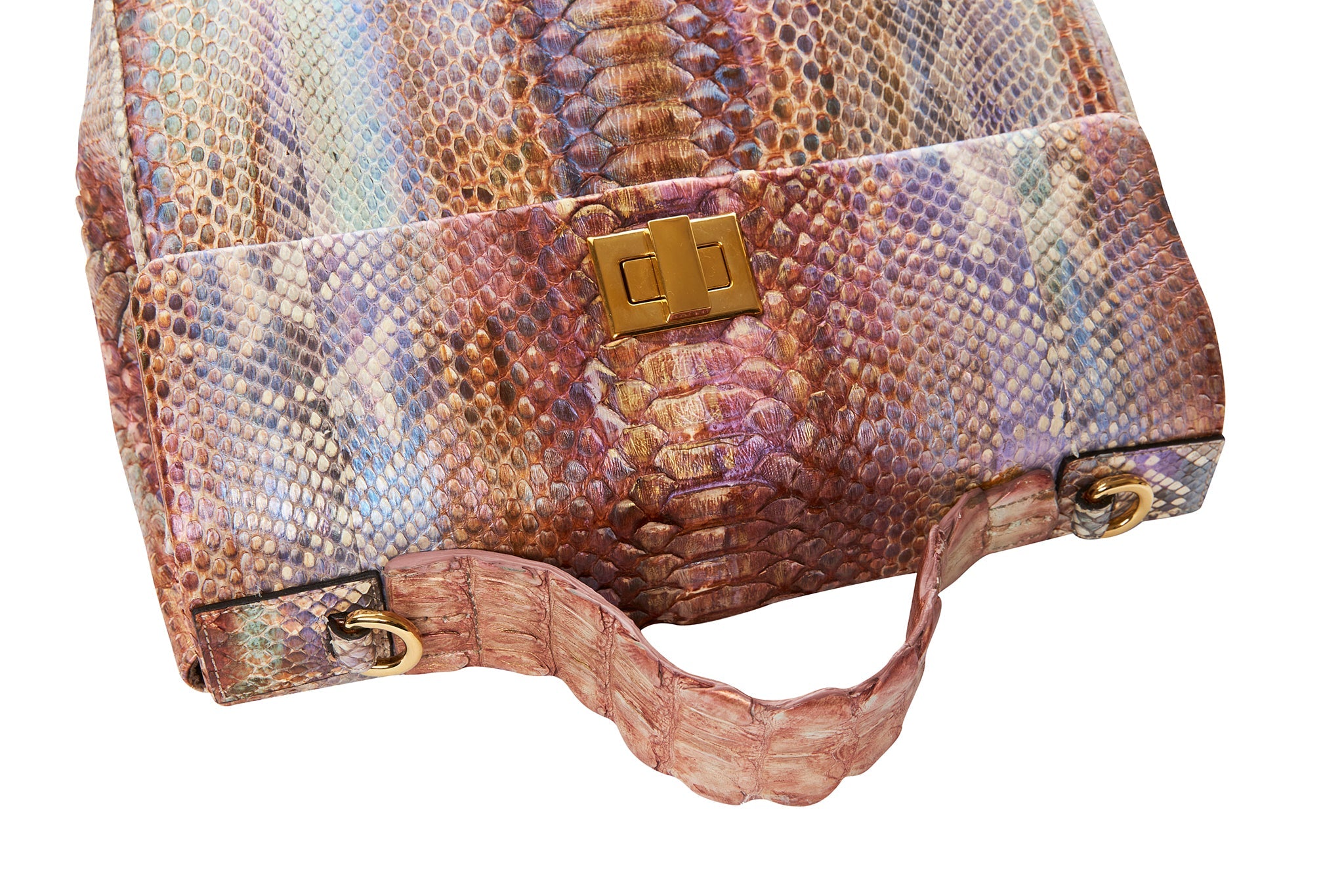 Iridescent Python Elegant & Unique Business/Travel Bag