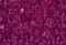 Superfine Cashmere Turtleneck  #191707