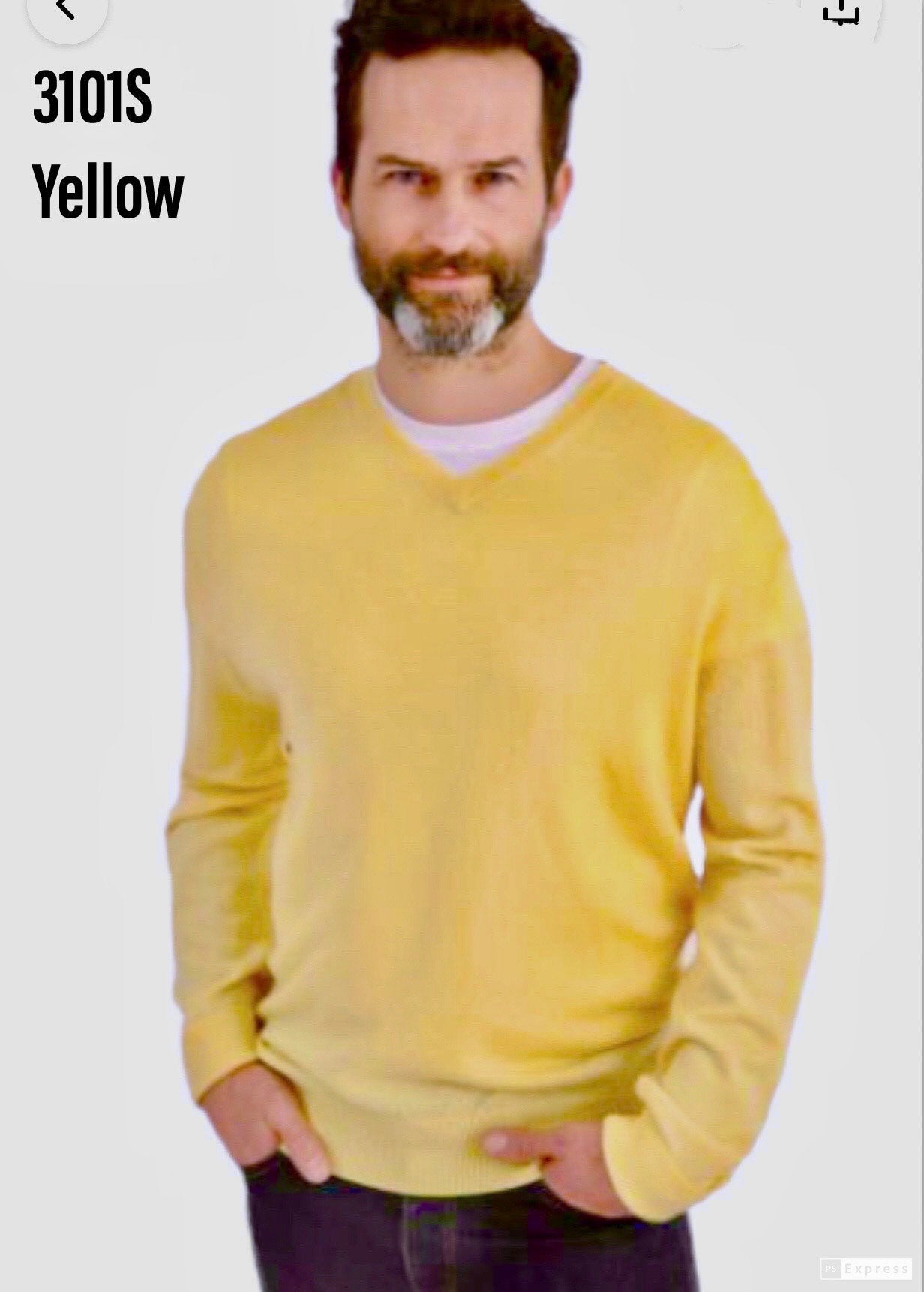 Men's - Cashmere V-Neck Sweater #3101S