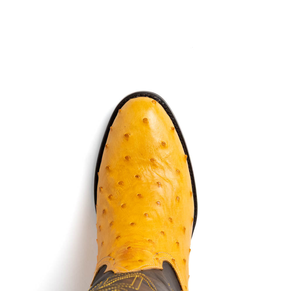 Savannah Buttercup Boots